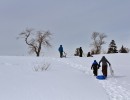 img 0550  1024x683 